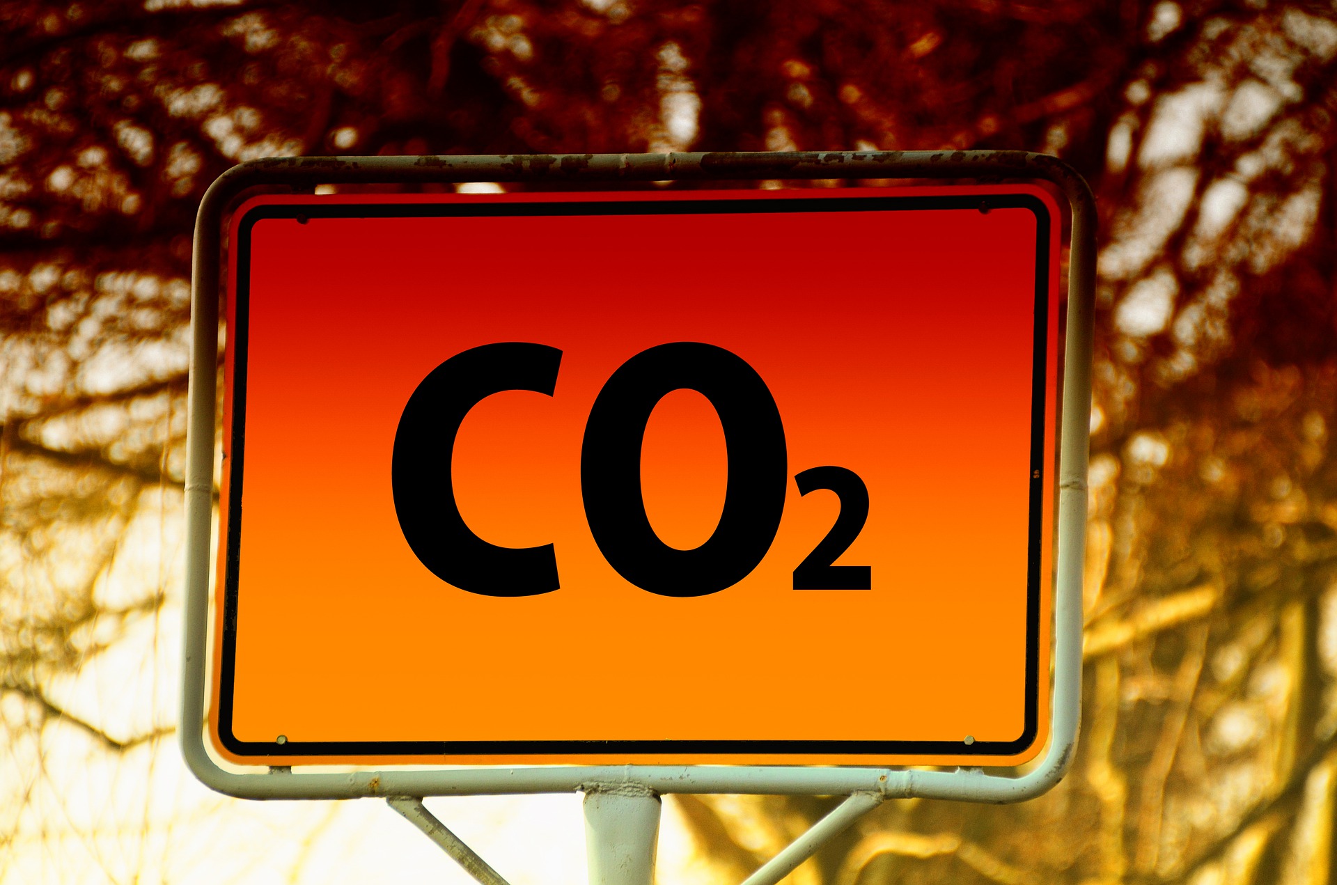 CIENCIA DE DATOS EN EL CAMBIO CLIMÁTICO, LA GRAN ASIGNATURA DEL 2021